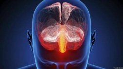 ¿Qué le hace la pornografía al cerebro?