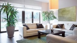 Decora con detalles de cuero y aprende cómo protegerlos
