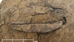 Hallan evidencias de una masacre prehistórica en Europa