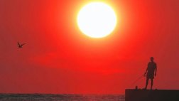 Mil millones de personas presentarían deficiencia de Vitamina D