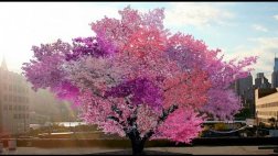 Crean árbol que produce más de 40 frutas a la vez