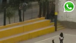 WhatsApp: cobran ilegalmente ingreso a loza municipal en Ate