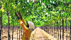 ¿Qué continente es el mayor exportador de alimentos del mundo?