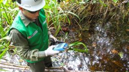 Pluspetrol debe cumplir con remediación ambiental en lote 192