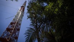 Brasil inaugura torre gigante de investigación ambiental