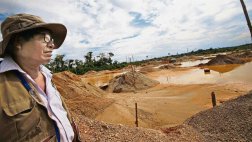 Madre de Dios: La ley, esa otra selva
