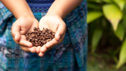 Otros curiosos usos del café que seguro no conocías