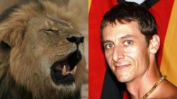 Zimbabue: León mató a guía en el parque donde abatieron a Cecil
