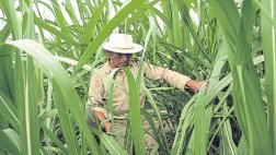 Impacto del fenómeno de El Niño sería de US$3.700 mlls.