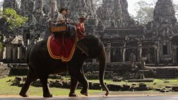Elefante mata a su guardián y huye con tres turistas al lomo
