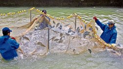 Los cuatro ejes en los que se cimentará el sector pesca al 2021
