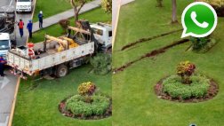 WhatsApp: camión violenta parque de San Borja y no pasa nada