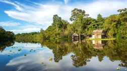 Cinco motivos para visitar la selva del Perú