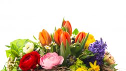 Aprende a hacer arreglos florales