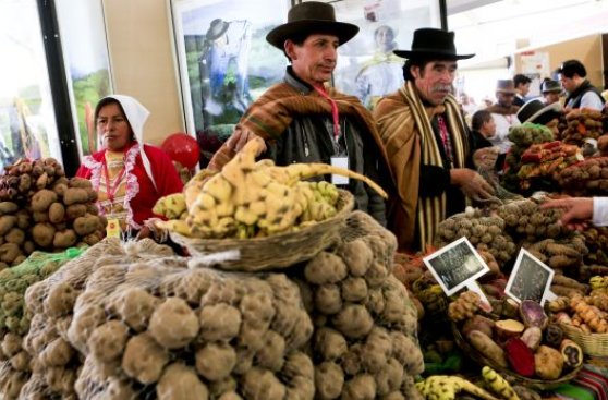 Apega: 7 propuestas para impulsar la gastronomía peruana