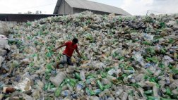 En el 2050 casi todas las aves marinas habrán ingerido plástico