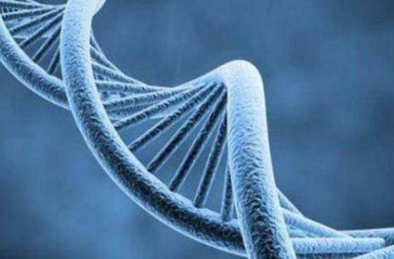Marcador de ADN ayudará a salvar pacientes con Hepatitis B