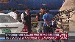 Carapongo: asalto a cochera dejó un anciano y 4 perros muertos