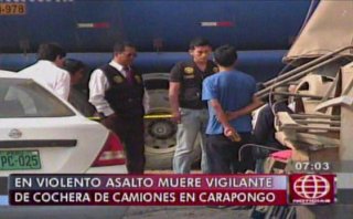 Carapongo: asalto a cochera dejó un anciano y 4 perros muertos