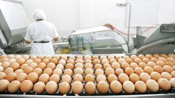 Grupo Alimenta amplía operación y prevé facturar S/.140 mlls.