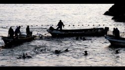 Japón comienza nueva temporada de pesca de delfines
