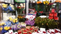 Mercado de Flores opera 20 años sin licencia de Defensa Civil