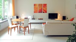 Opciones para separar el espacio de la sala y el comedor