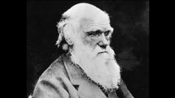 Darwin: subastarán carta en que aclara que no cree en la Biblia