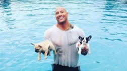 Dwayne Johnson salva a cachorro de ahogarse