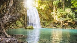 Lanzan plan global para mejorar gestión del agua y bosques