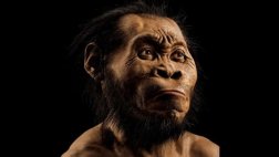Homo naledi, nuevo antepasado del hombre hallado en Sudáfrica