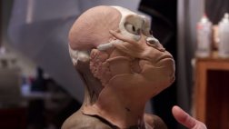 Así se reconstruyó la cara del nuevo antepasado del ser humano