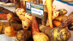 Conoce los mitos y las verdades sobre las papas nativas