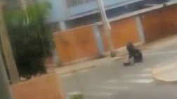 Barranco: mochila abandonada movilizó a policías de la UDEX