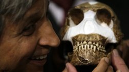 Polémica en Sudáfrica tras descubrimiento de nueva especie