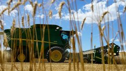 Estiman que precios de granos bajarán pese a efectos de El Niño