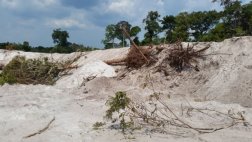 Minería ilegal sigue dañando a la Reserva Allpahuayo Mishana