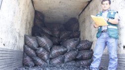 Más de 500 toneladas de carbón ilegal fueron decomisados