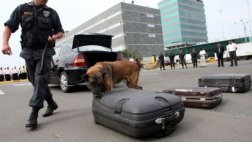 Este año cayeron 112 ‘burriers’ en aeropuerto Jorge Chávez