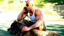 Vin Diesel confirmó tres películas más de "Rápidos y furiosos"