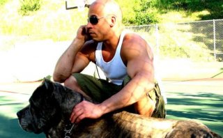 Vin Diesel confirmó tres películas más de "Rápidos y furiosos" 