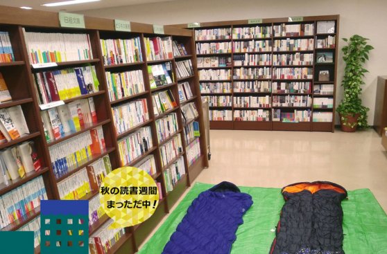 Una librería en Japón ofrece dormir una noche entre libros