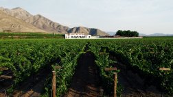 La ruta del pisco en Ica: dónde catar, comer y dormir