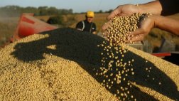 Países europeos piden prohibir el cultivo de transgénicos