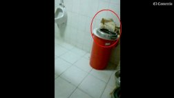 Nasca: bebe nació muerta y personal de hospital la dejó en baño