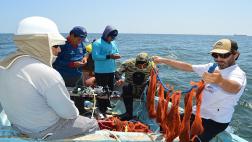 Produce: Cambios atmosféricos afectan solo pesca artesanal
