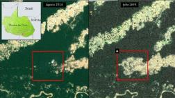 Mira la gran deforestación en la Amazonía en Perú