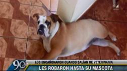 Jesús María: salían de veterinaria y les robaron a su mascota