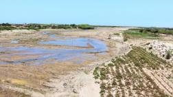 El Niño: ejecutarán segunda etapa de prevención en Chiclayo