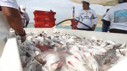 ¿A cuánto asciende el consumo per cápita de pescado en el Perú?